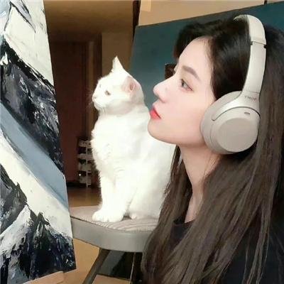天下无诈